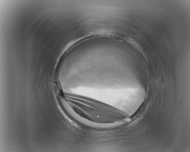 X0000066520989200604141809