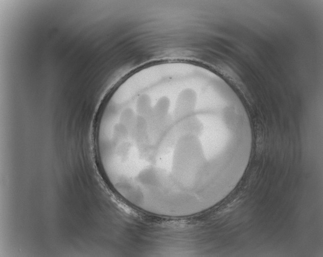 X0000066520990200604141809