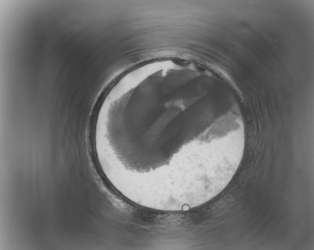 X0000066520991200604141809