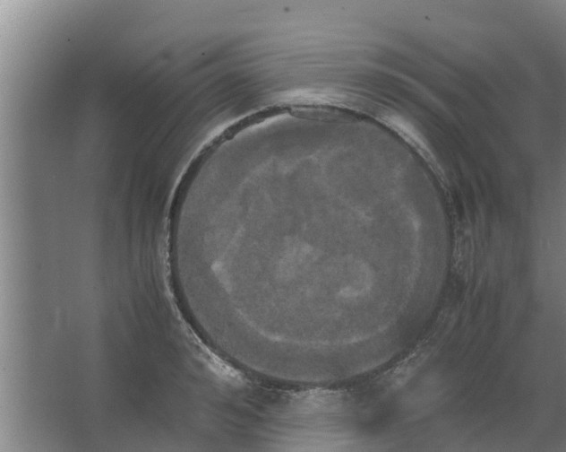 X0000066520992200604141809