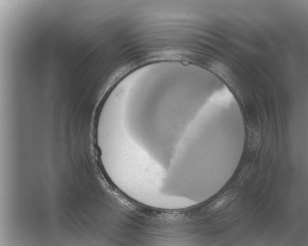 X0000066520994200604141809