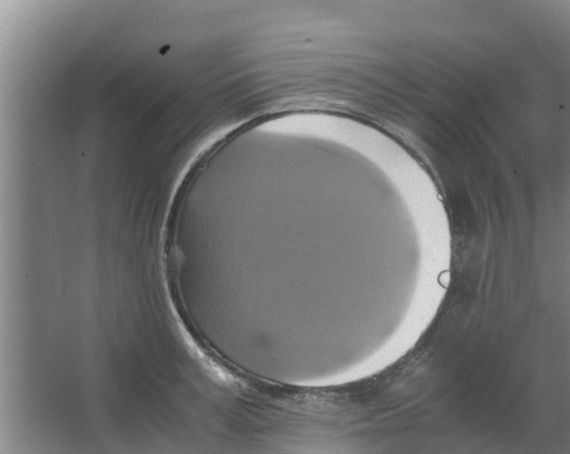 X0000066520995200604141809