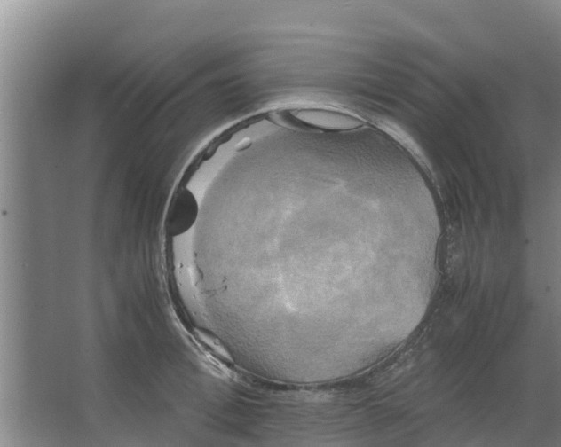 X0000066520996200604141809