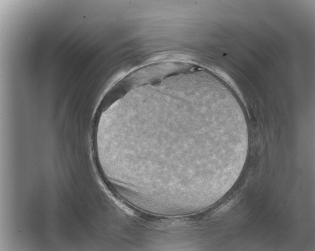 X0000066520997200604141809