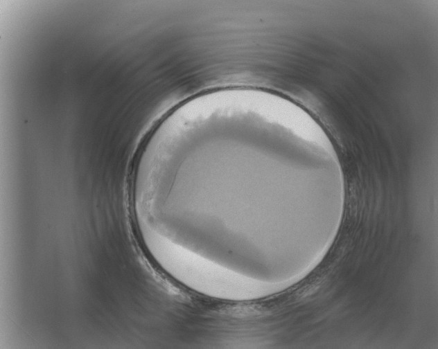 X0000066520998200604141809