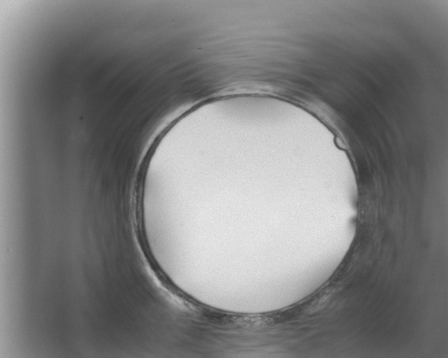 X0000066521003200604141809