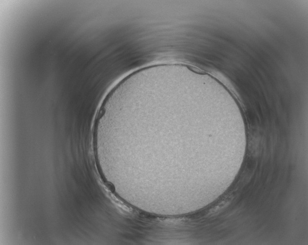 X0000066521004200604141809