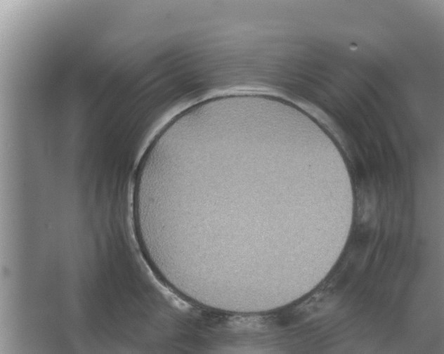 X0000066521006200604141809