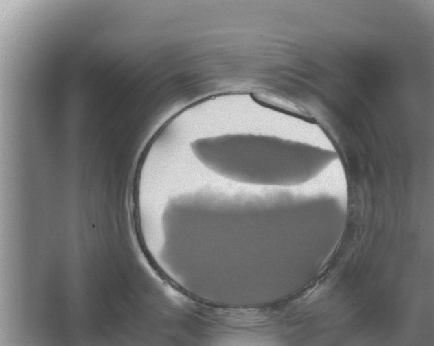 X0000066521007200604141809