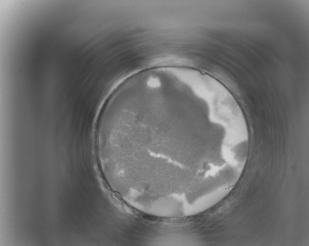 X0000066521008200604141809