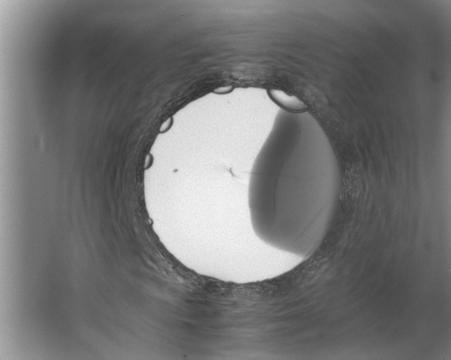 X0000066521009200604141808