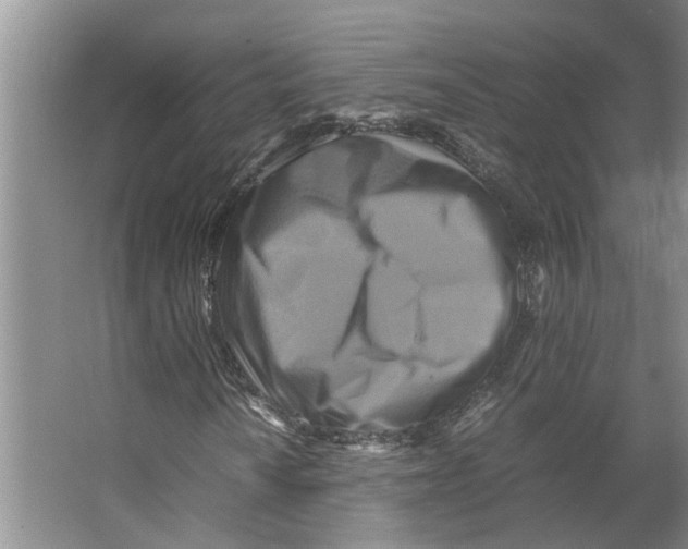 X0000066521010200604141808