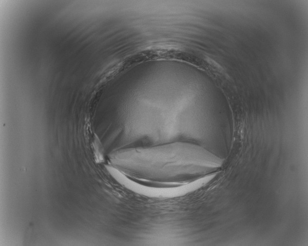 X0000066521014200604141808