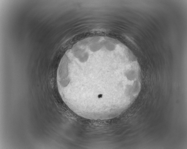 X0000066521015200604141808