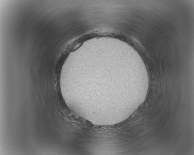 X0000066521016200604141808