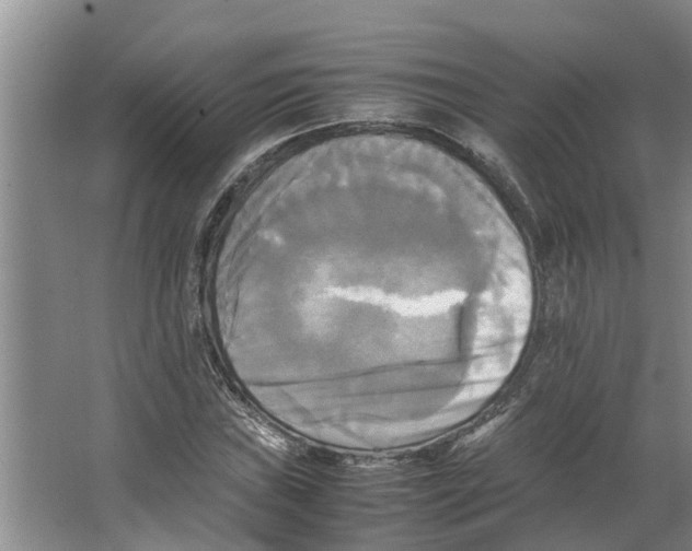 X0000066521019200604141808