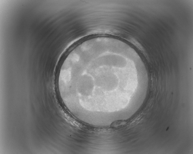 X0000066521020200604141808