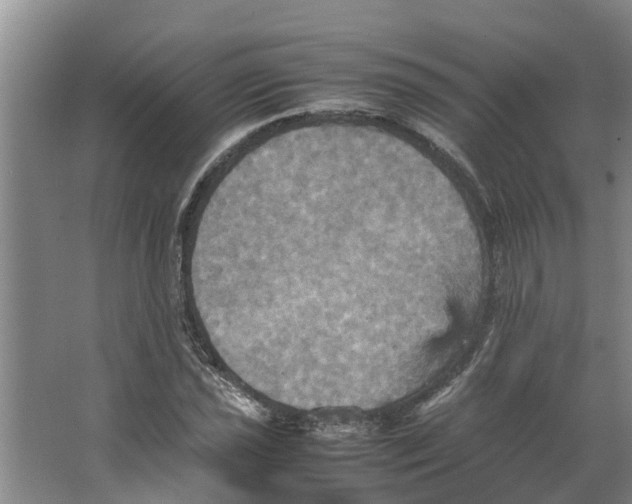 X0000066521021200604141808