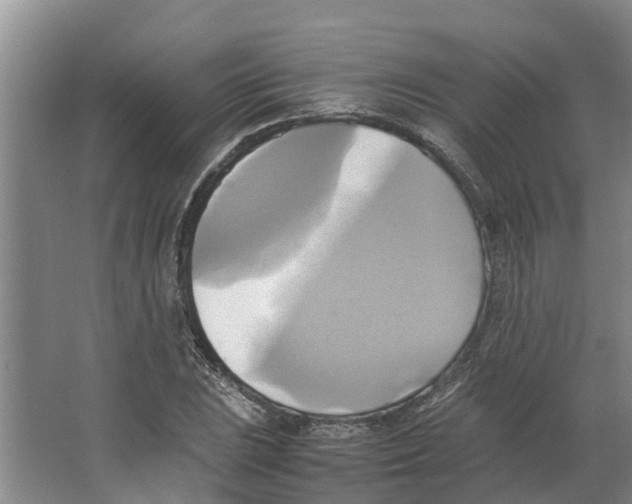 X0000066521023200604141808