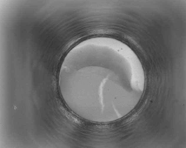 X0000066521025200604141808