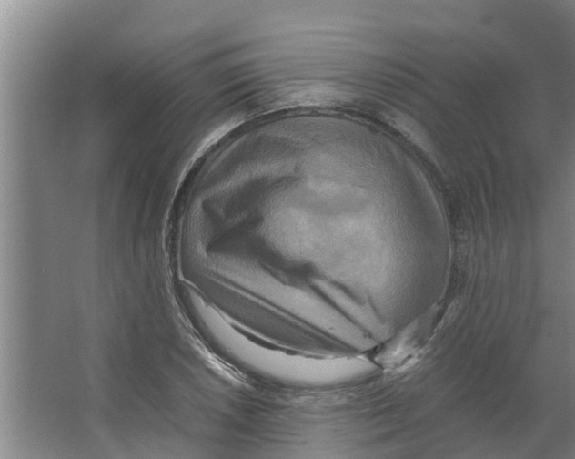 X0000066521026200604141808