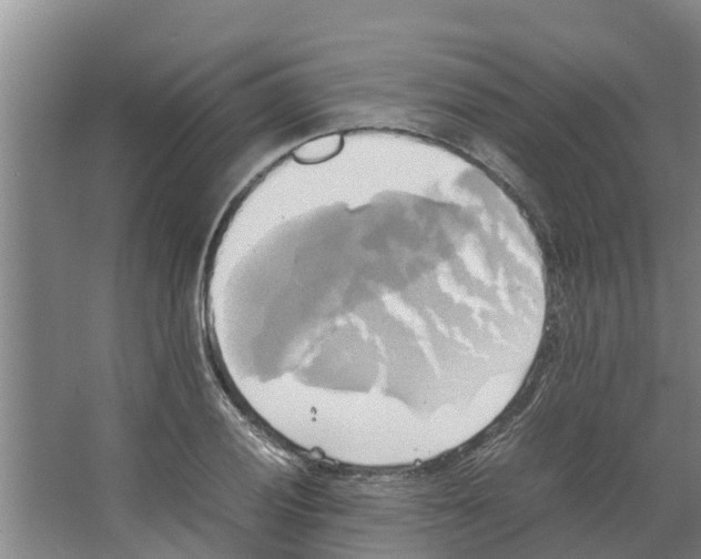 X0000066521028200604141808