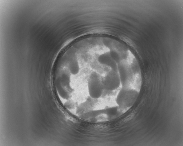 X0000066521029200604141808