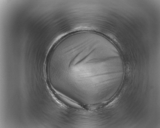 X0000066521030200604141808