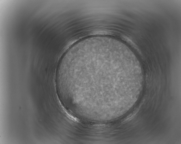 X0000066521033200604141808