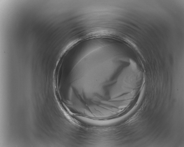 X0000066521034200604141808