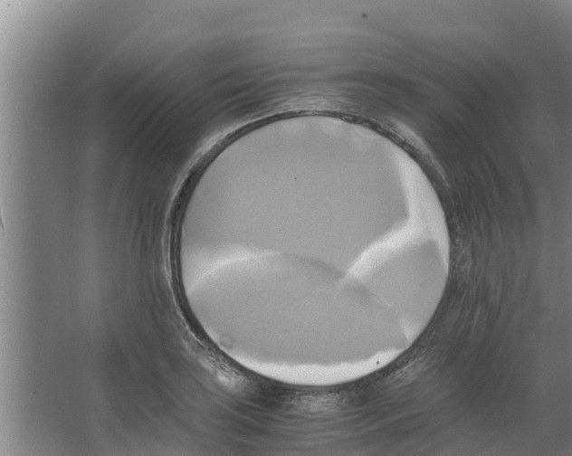 X0000066521035200604141808