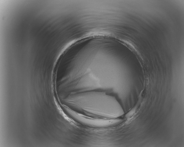 X0000066521038200604141809