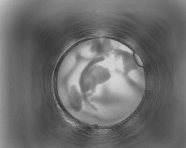 X0000066521039200604141809