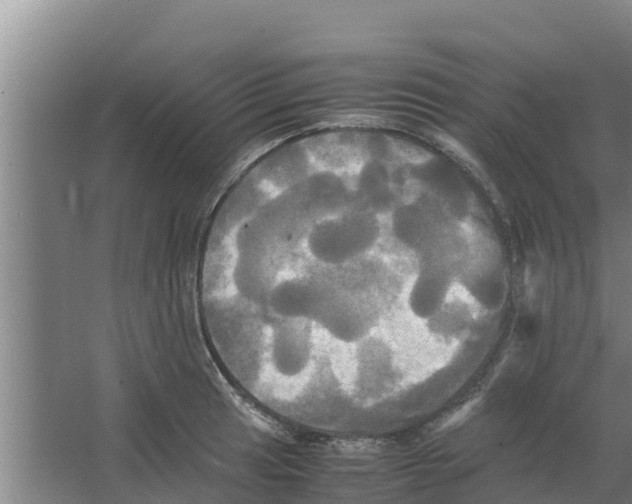 X0000066521041200604141809