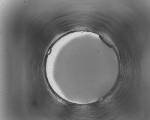 X0000066521045200604141809