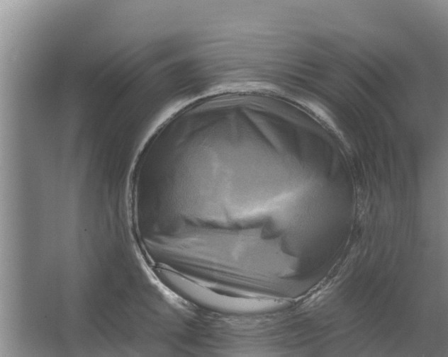 X0000066521046200604141809