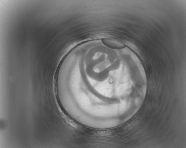 X0000066521047200604141809