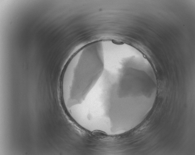 X0000066521048200604141809