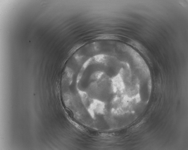 X0000066521049200604141809