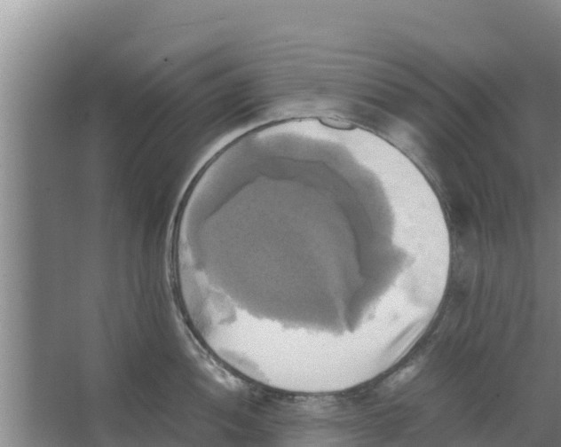 X0000066521052200604141809