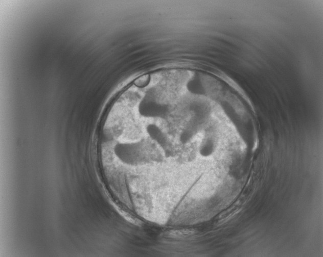 X0000066521053200604141809