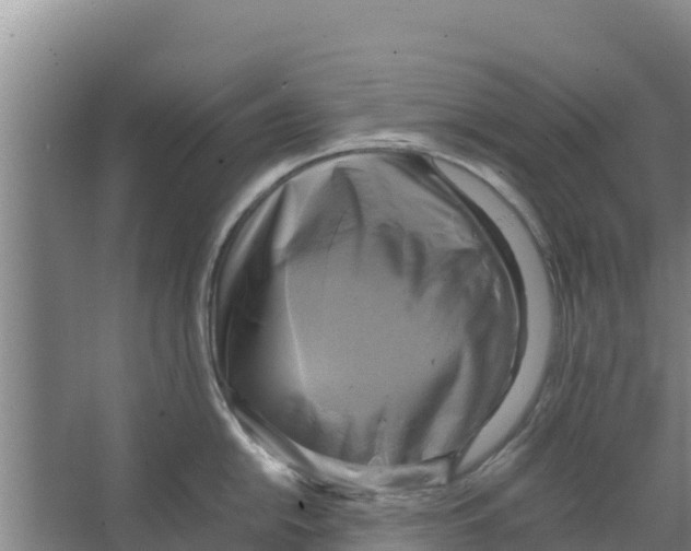 X0000066521054200604141809