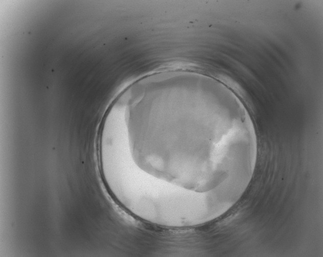 X0000066521055200604141809