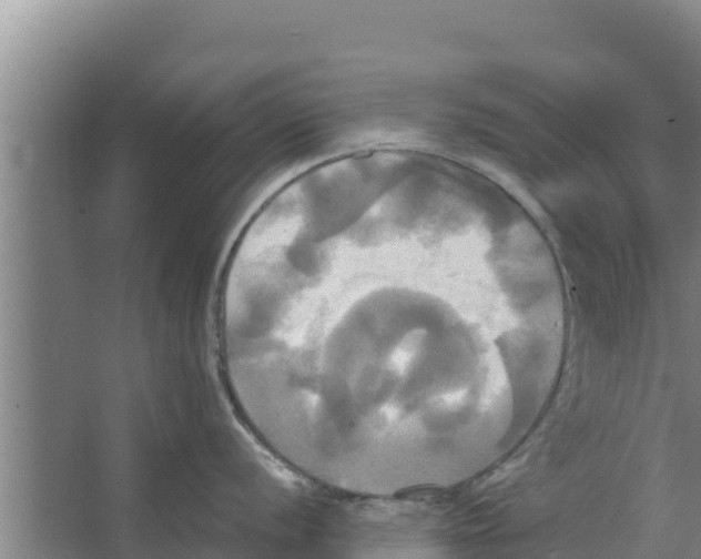 X0000066521056200604141809