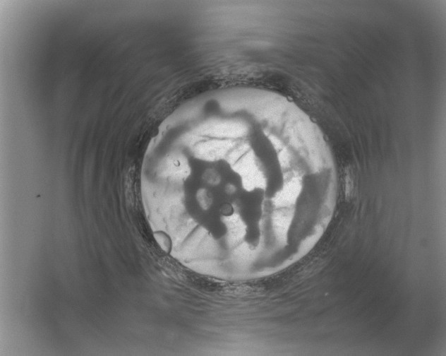 X0000066521059200604141808