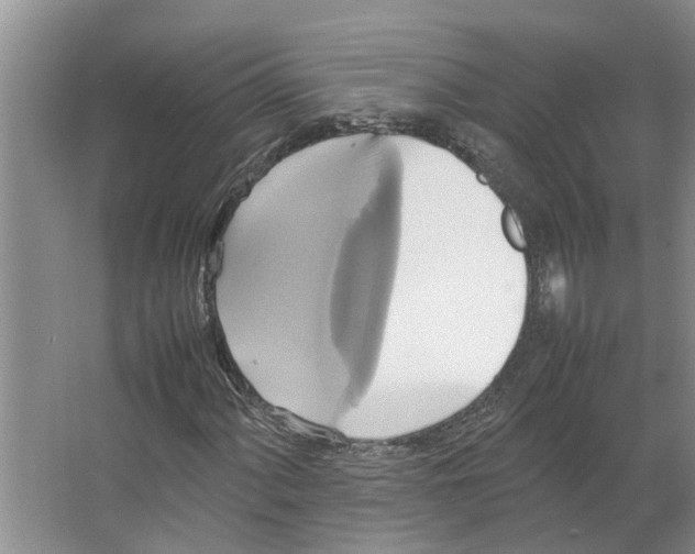 X0000066521060200604141808