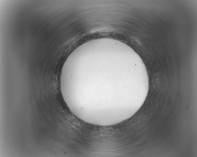 X0000066521062200604141808