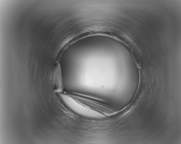 X0000066521065200604141808