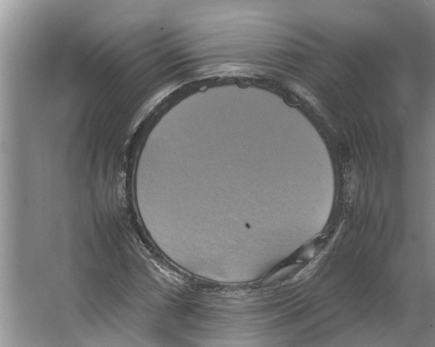 X0000066521066200604141808