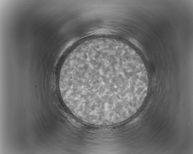 X0000066521067200604141808